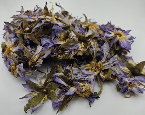 Egyptian blue lotus authentic - blue,